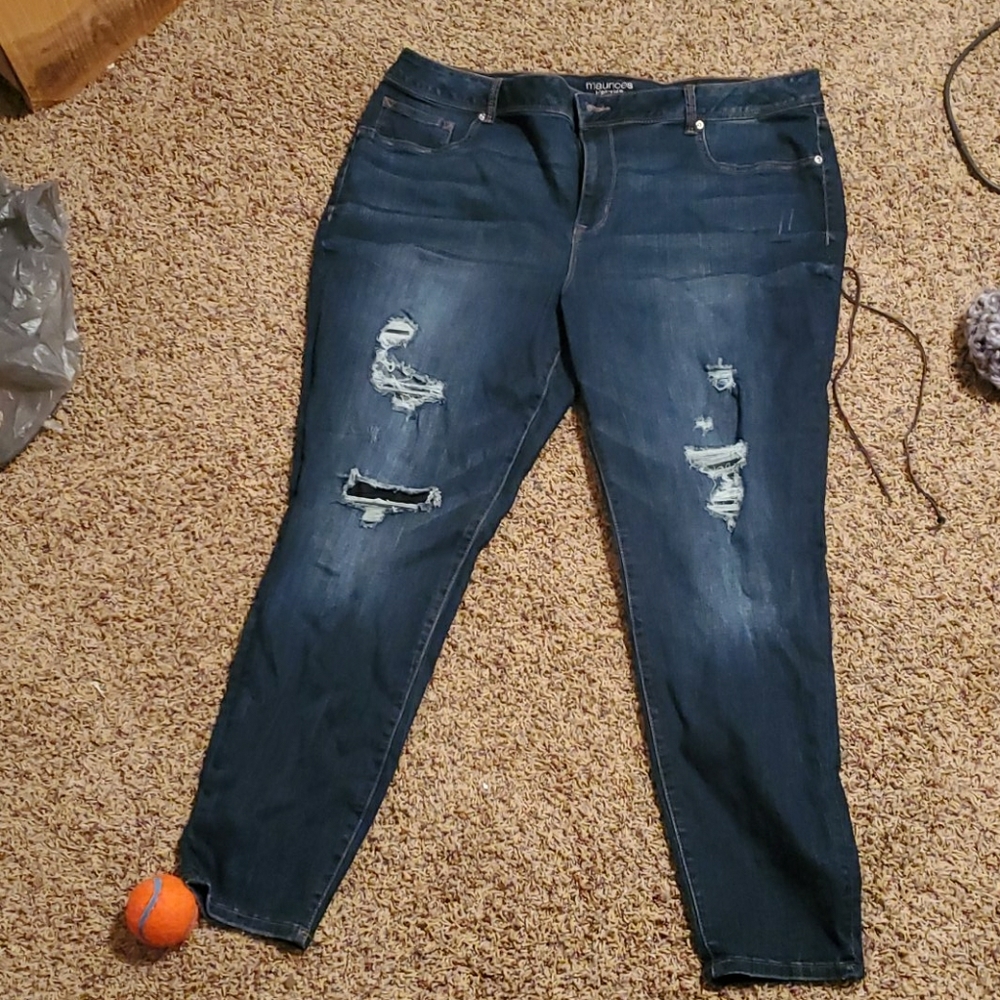 Maurice's Jeggings NWOT